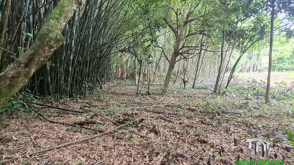 Terreno, 4000 m² - Foto 7