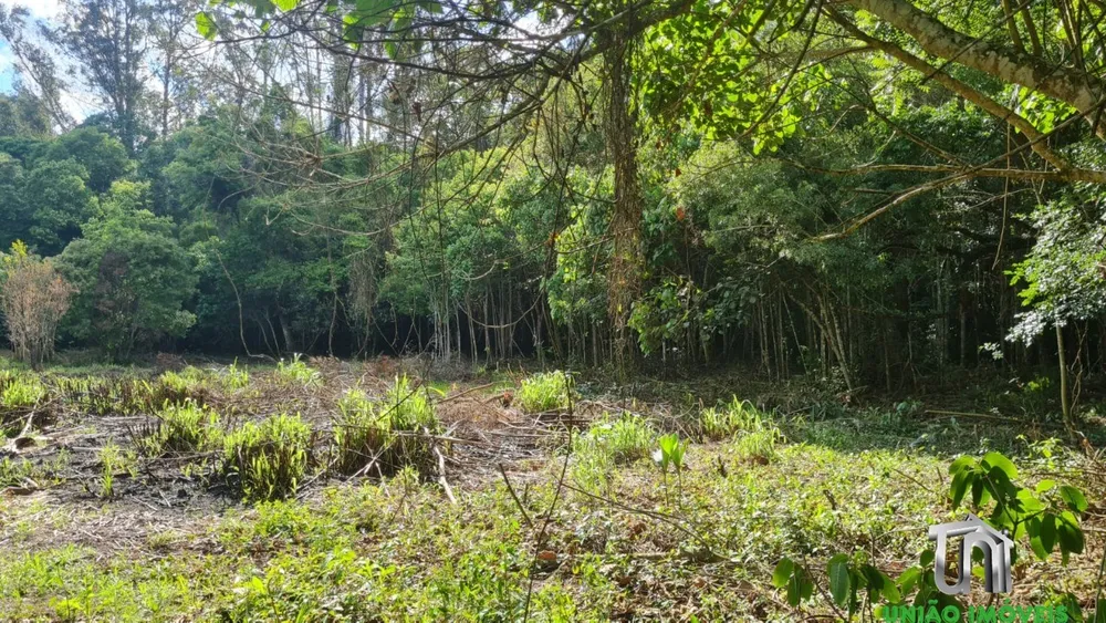 Terreno, 4000 m² - Foto 11