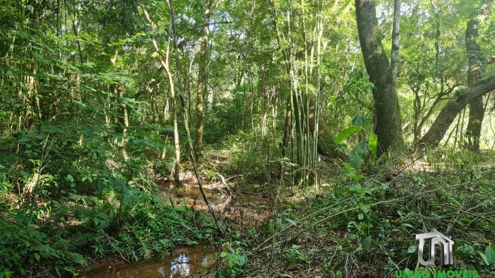 Terreno, 4000 m² - Foto 4
