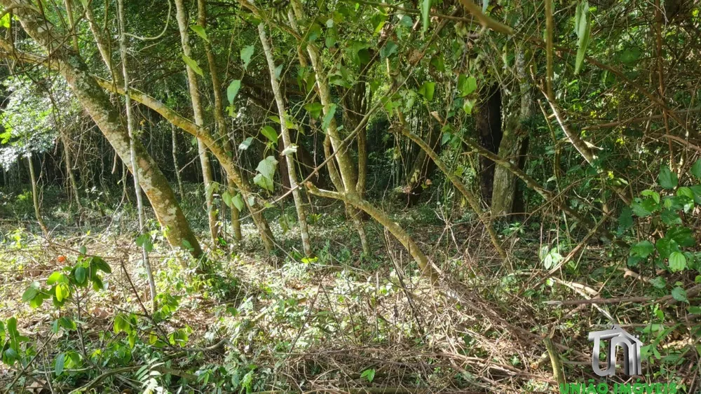 Terreno, 4000 m² - Foto 4