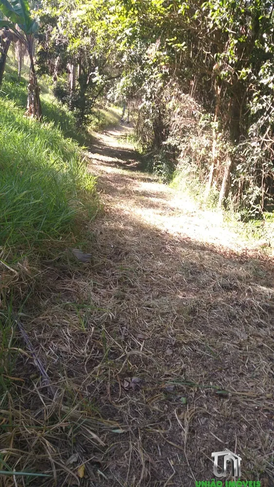 Fazenda, 3 quartos - Foto 4
