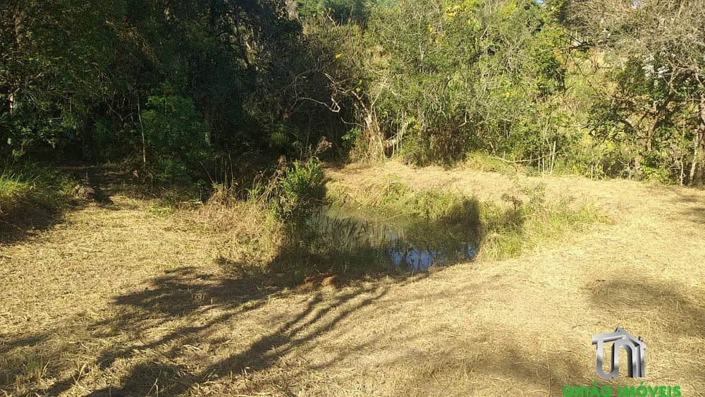 Sítio, 3 quartos - Foto 5