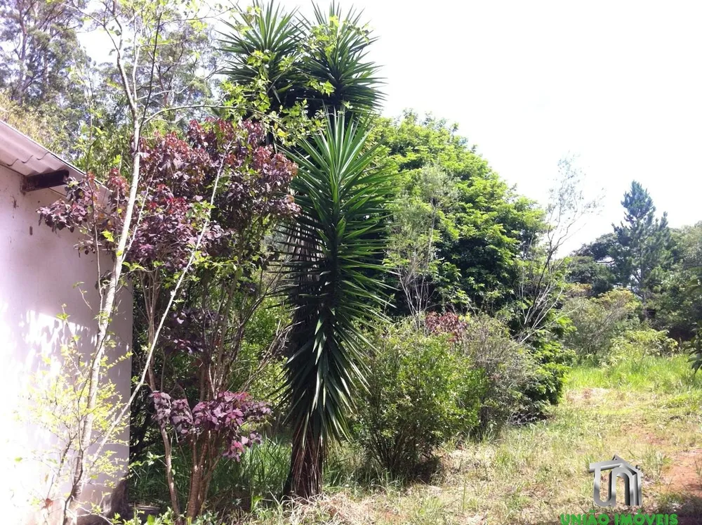 Terreno, 1 hectares - Foto 7
