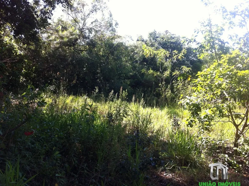 Terreno, 1 hectares - Foto 11