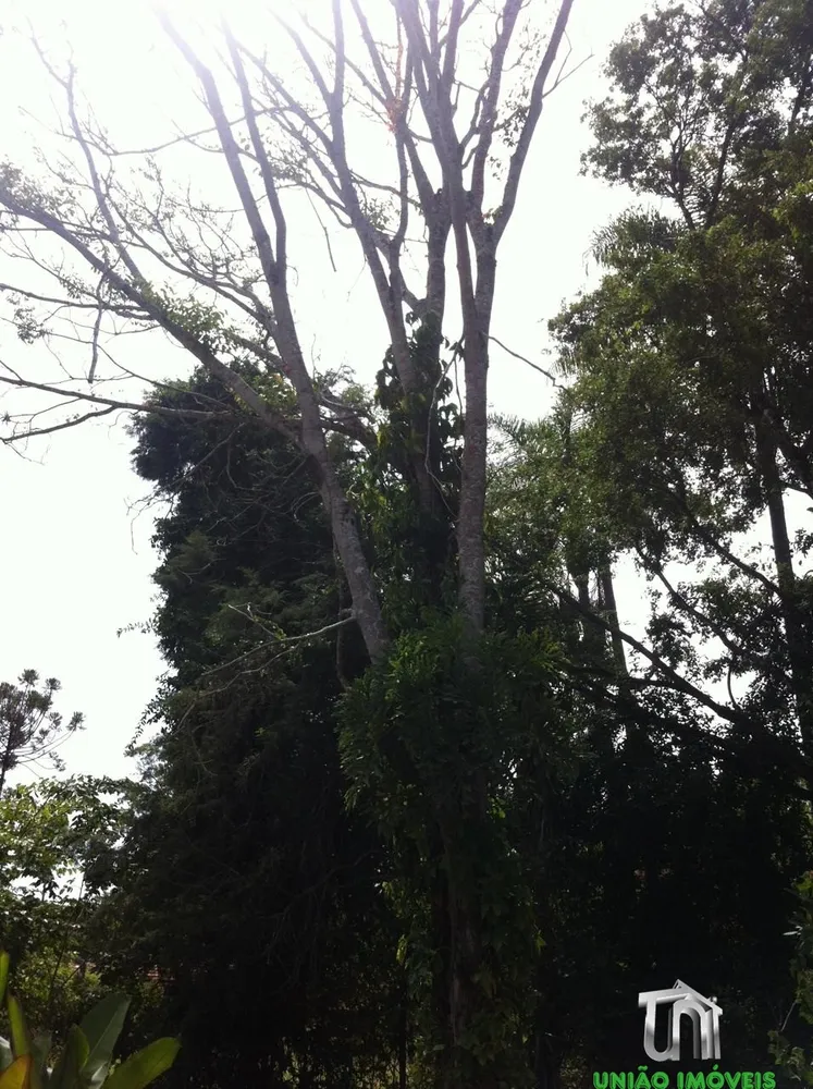 Terreno, 1 hectares - Foto 6