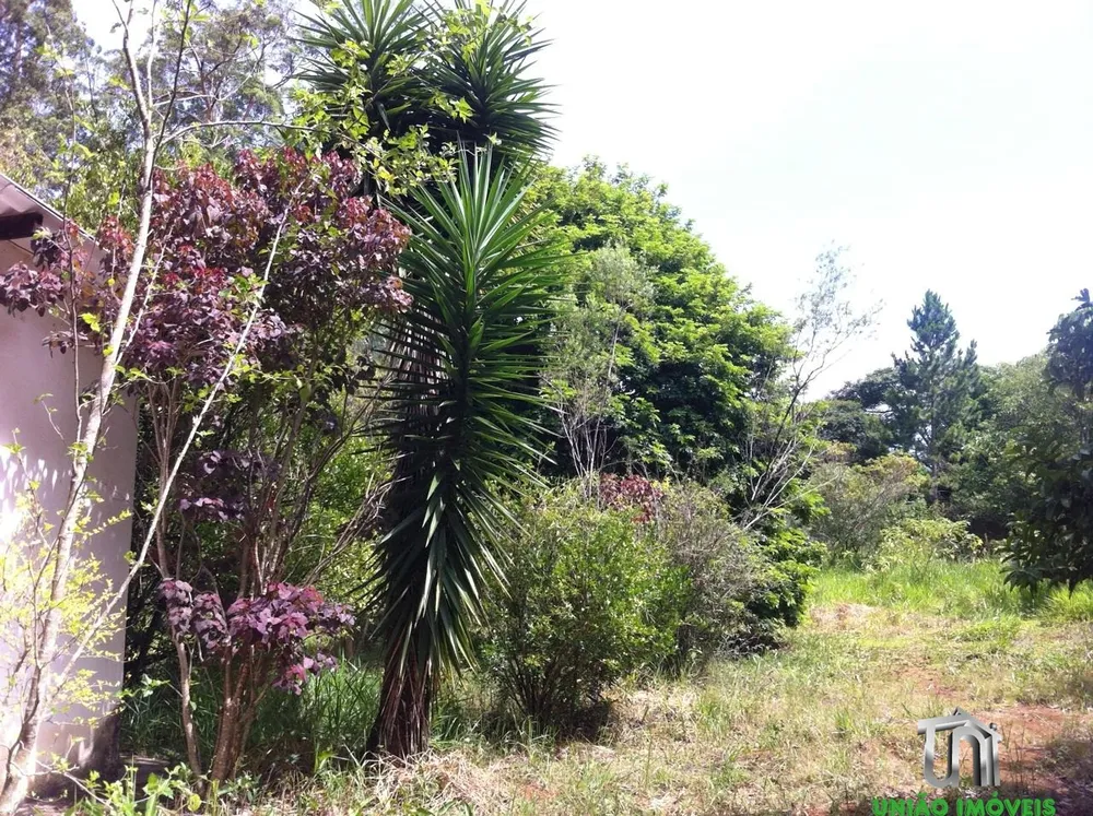 Terreno, 1 hectares - Foto 2