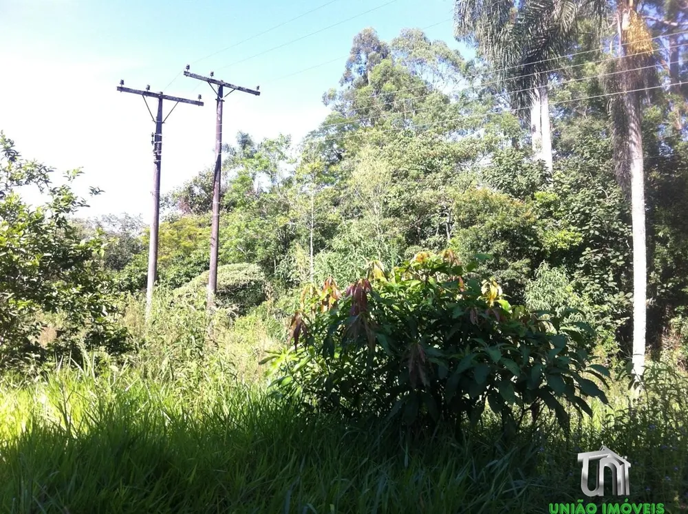 Terreno, 1 hectares - Foto 12