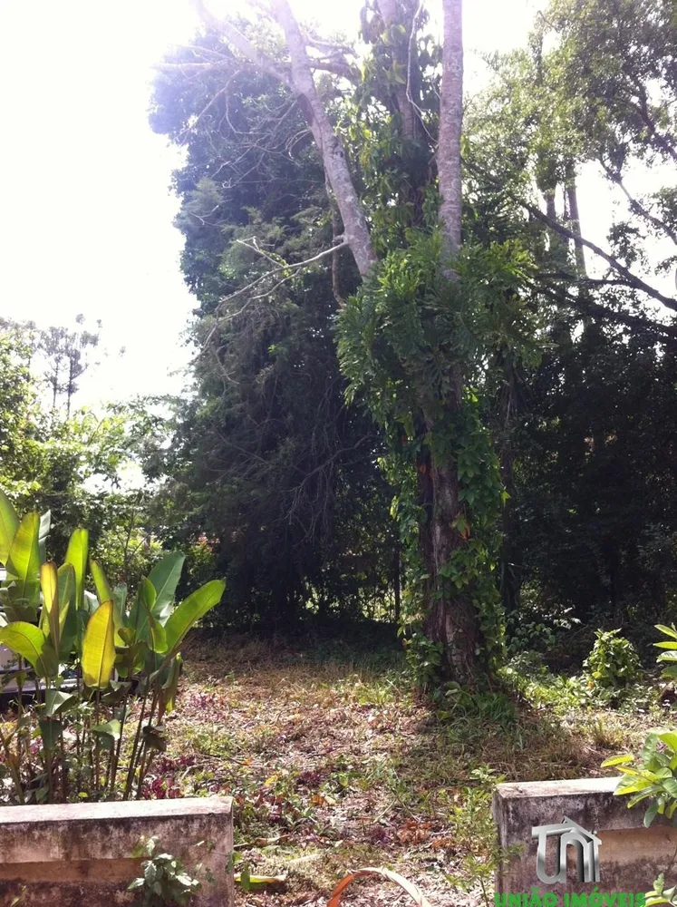 Terreno, 1 hectares - Foto 5