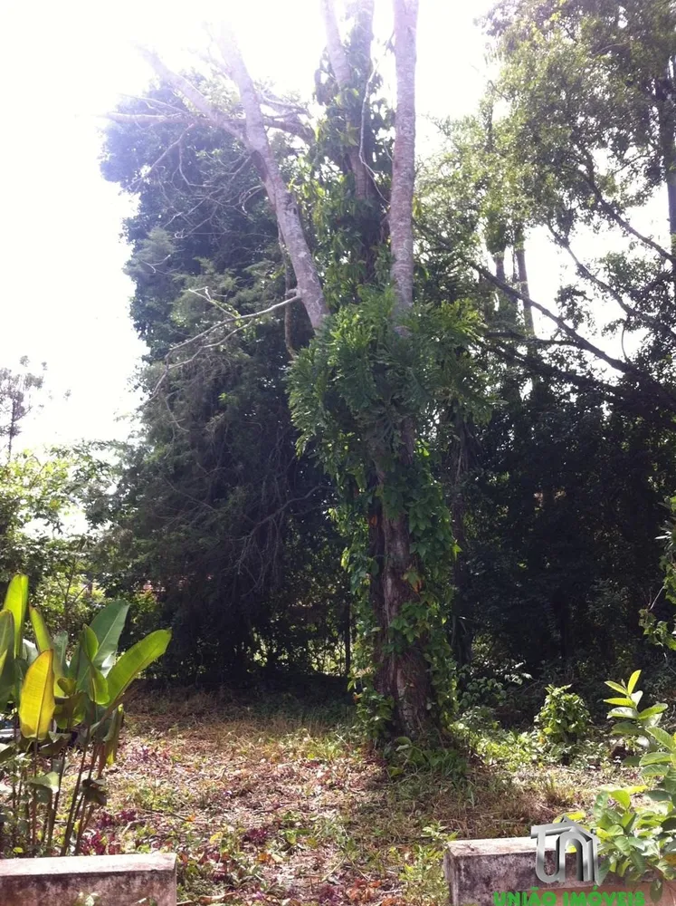 Terreno, 1 hectares - Foto 1