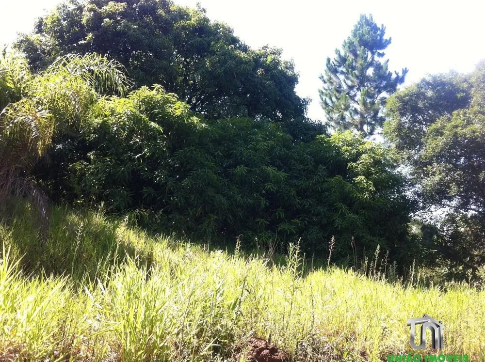 Terreno, 1 hectares - Foto 15