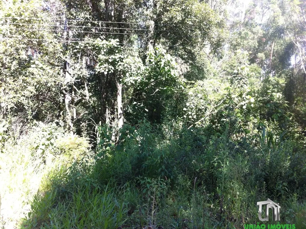 Terreno, 1 hectares - Foto 14