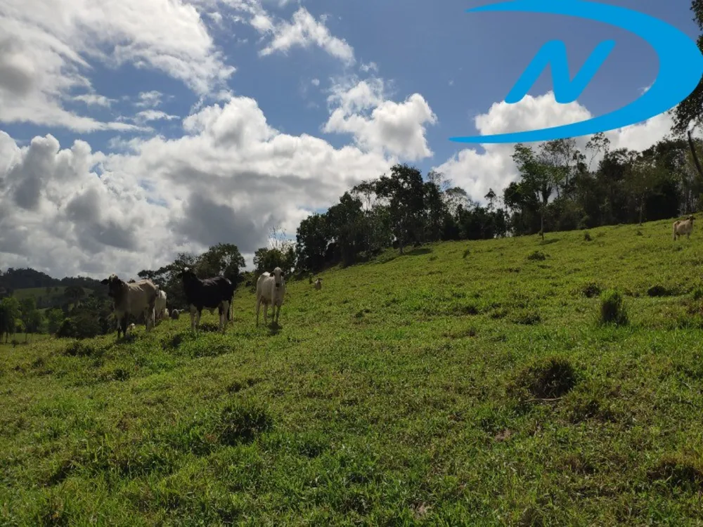 Fazenda, 130 m² - Foto 12