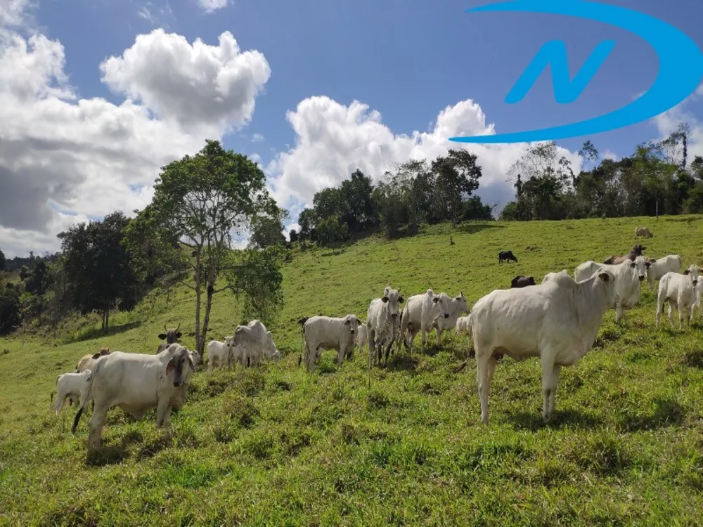 Fazenda, 130 m² - Foto 6