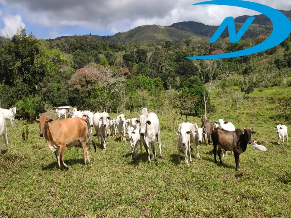 Fazenda, 130 m² - Foto 14