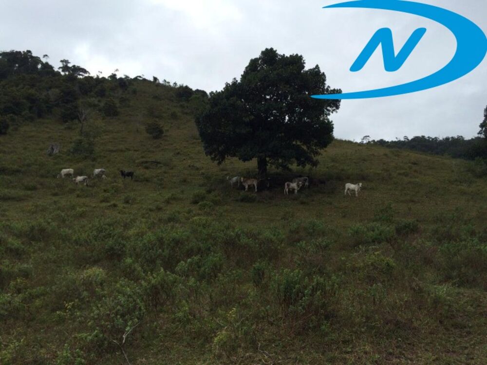 Fazenda, 132 m² - Foto 5