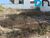 Terreno, 472 m² - Foto 4