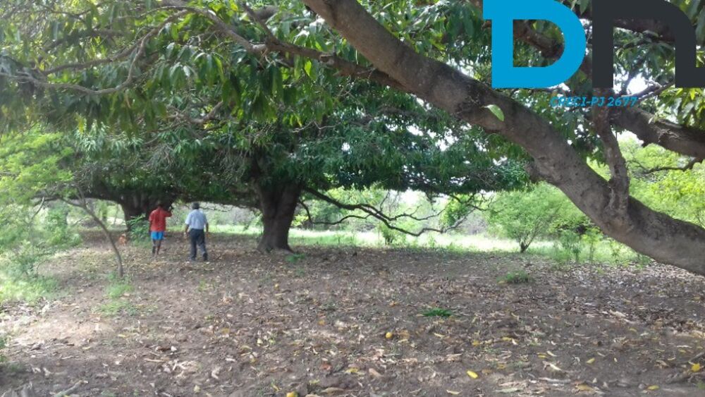 Fazenda à venda, 284m² - Foto 18