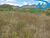 Terreno, 10 hectares - Foto 9