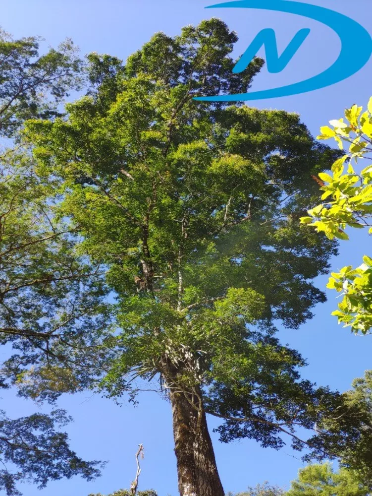 Fazenda, 90 m² - Foto 3
