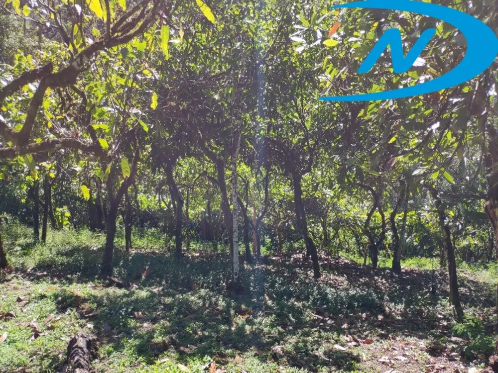 Fazenda, 90 m² - Foto 19