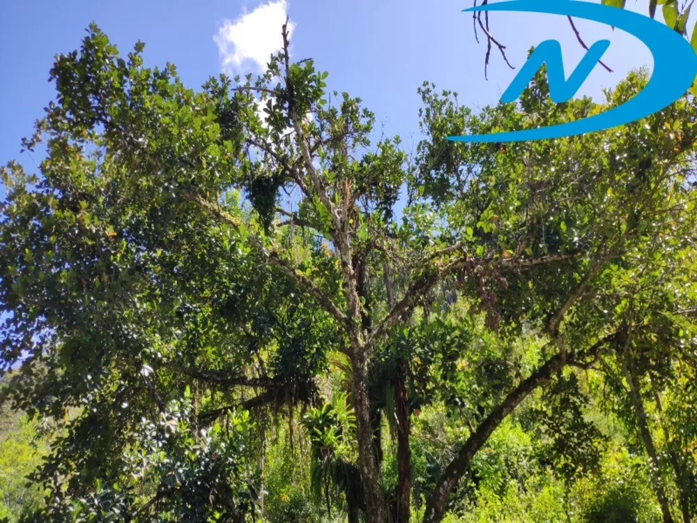 Fazenda, 90 m² - Foto 6