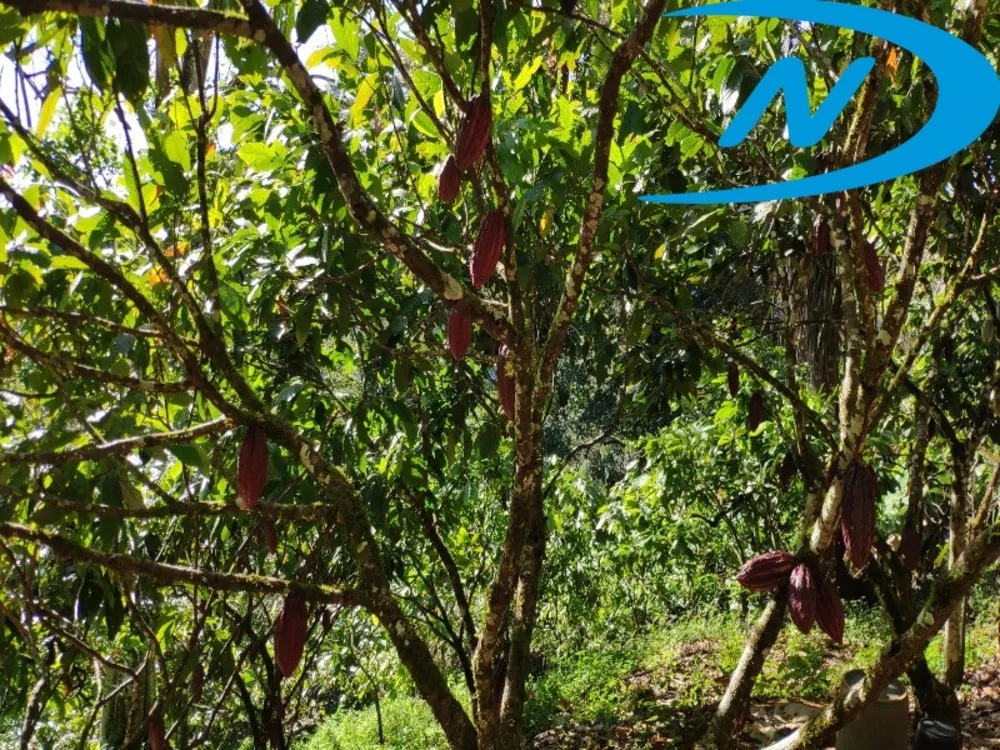 Fazenda, 90 m² - Foto 13