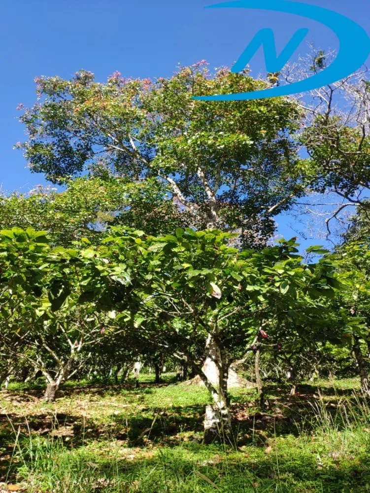 Fazenda, 90 m² - Foto 12