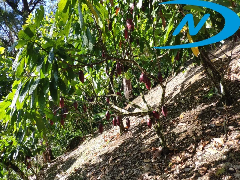 Fazenda, 90 m² - Foto 1