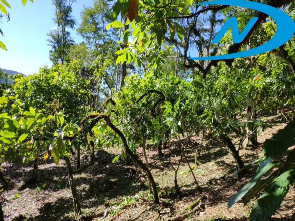 Fazenda, 90 m² - Foto 18