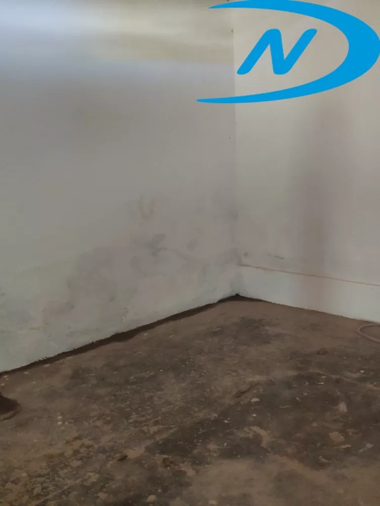 Loja-Salão, 1000 m² - Foto 4