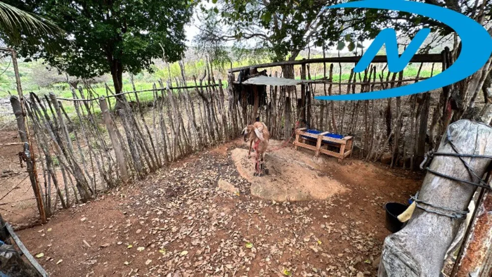 Sítio, 2 quartos - Foto 14