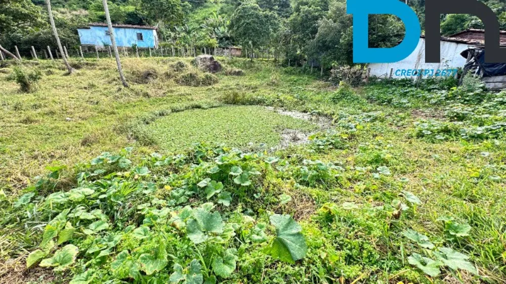 Fazenda, 30 m² - Foto 11