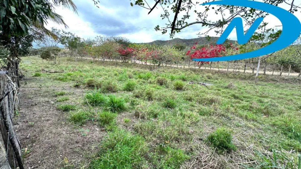 Sítio, 3 quartos, 2 m² - Foto 4