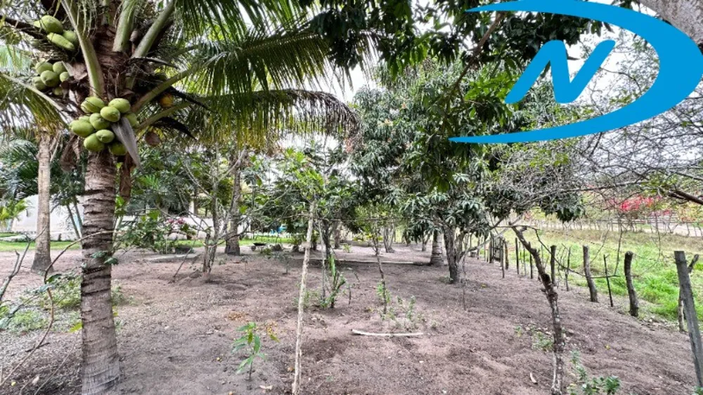 Sítio, 3 quartos, 2 m² - Foto 4