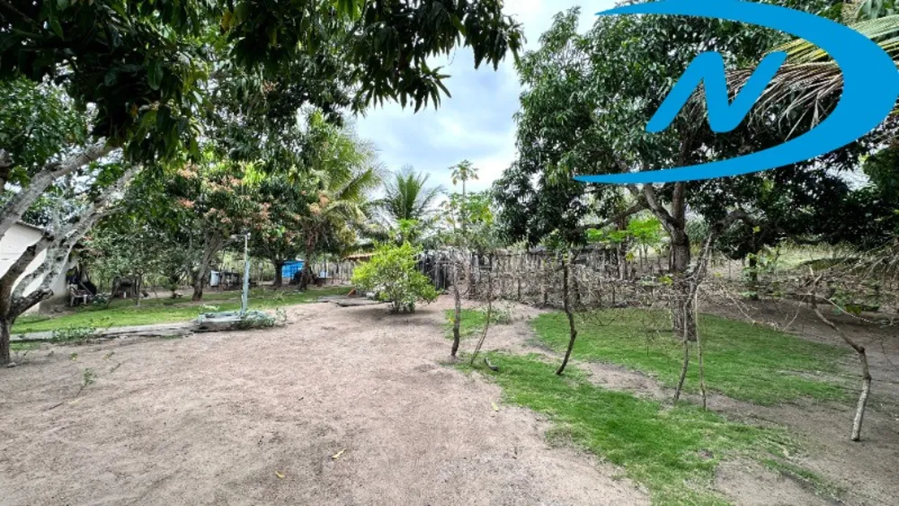 Sítio, 3 quartos, 2 m² - Foto 18
