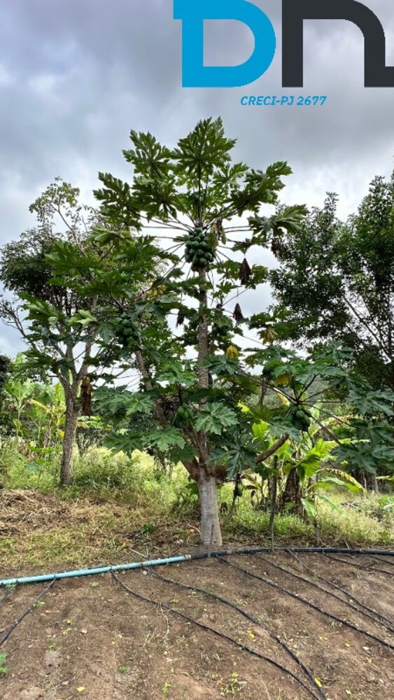 Fazenda, 56 m² - Foto 10