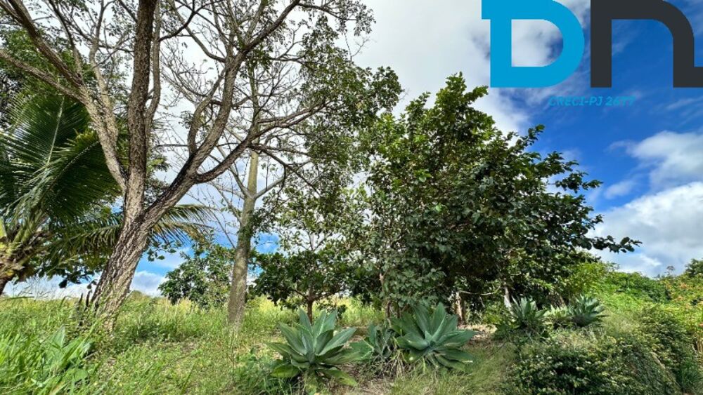 Fazenda, 56 m² - Foto 8