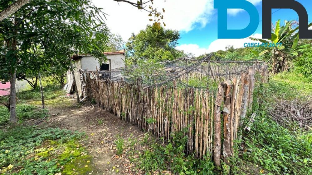 Fazenda, 56 m² - Foto 16
