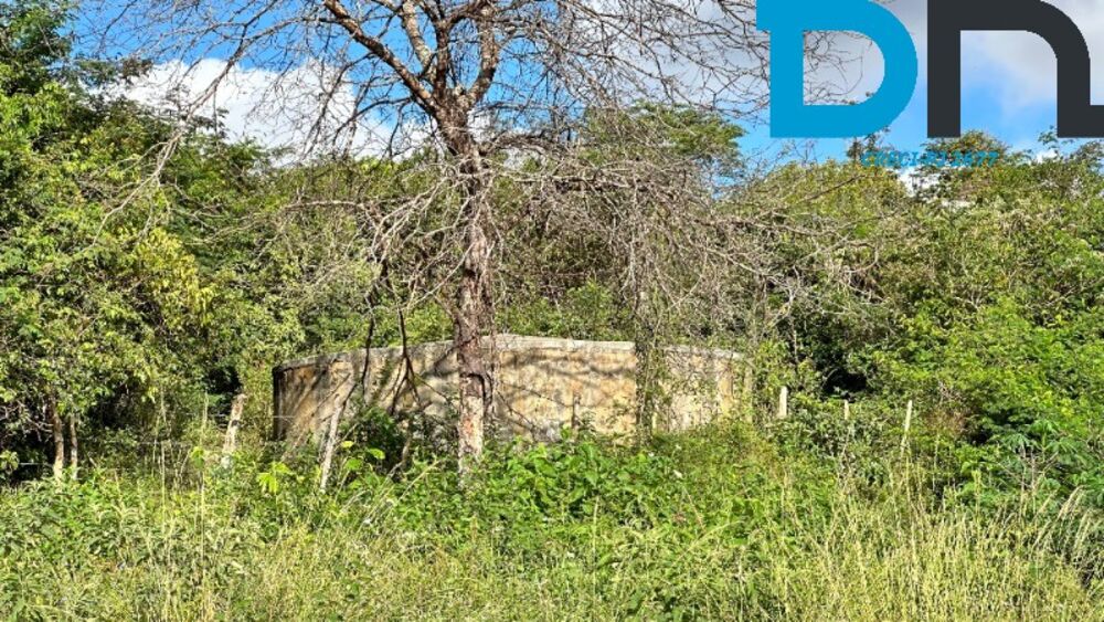 Fazenda, 56 m² - Foto 6