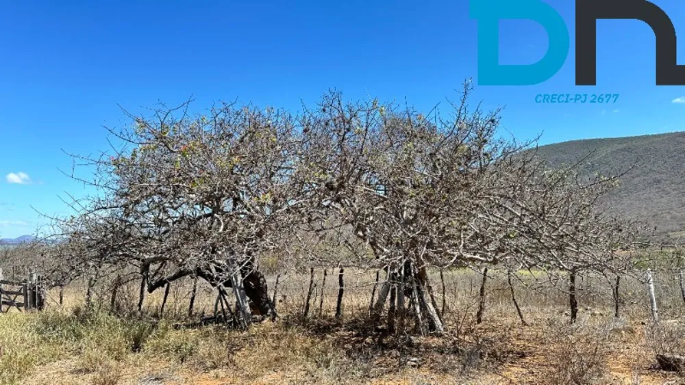 Fazenda, 39 m² - Foto 14