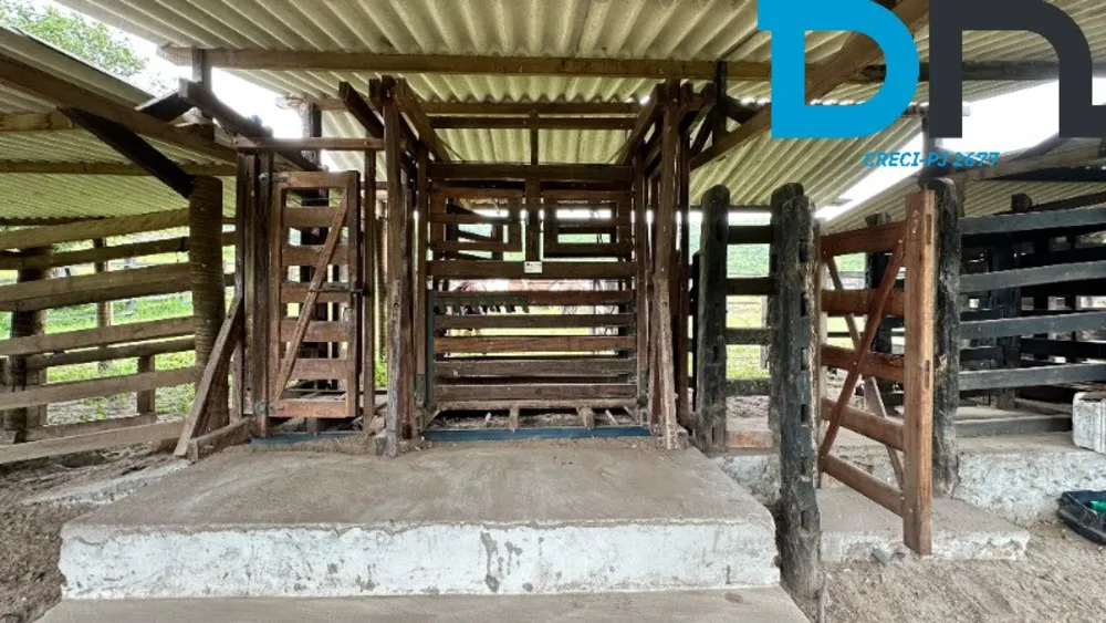 Fazenda, 1500 m² - Foto 5