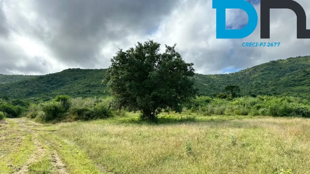 Fazenda, 1500 m² - Foto 10