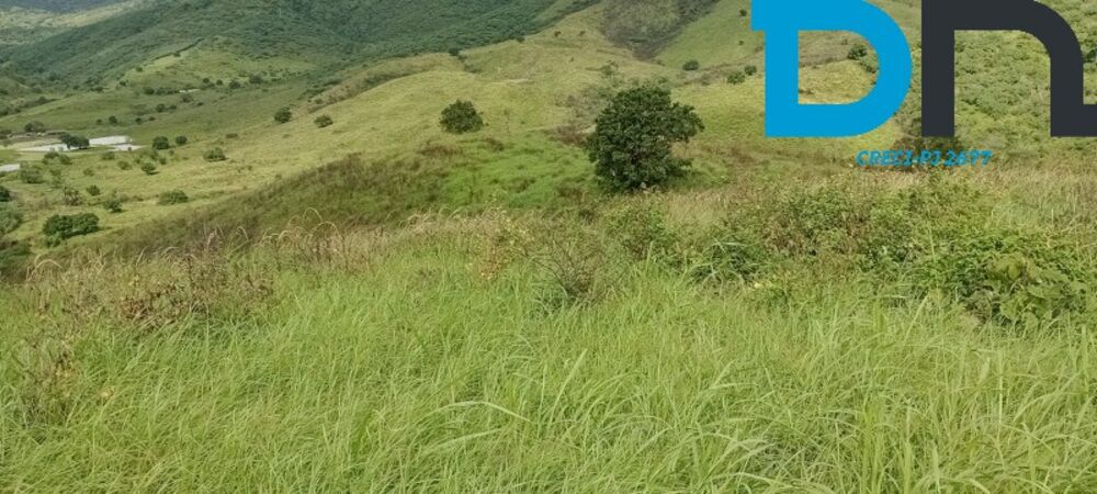 Fazenda, 1500 m² - Foto 6