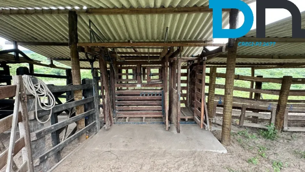 Fazenda, 1500 m² - Foto 4