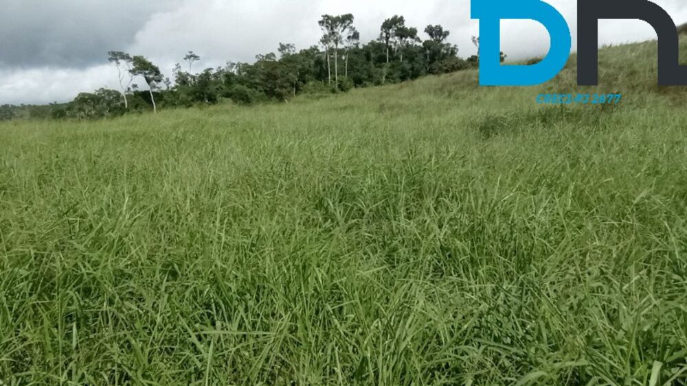 Fazenda, 1500 m² - Foto 3