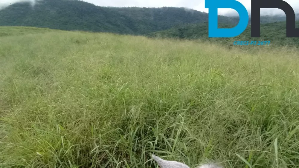 Fazenda, 1500 m² - Foto 8