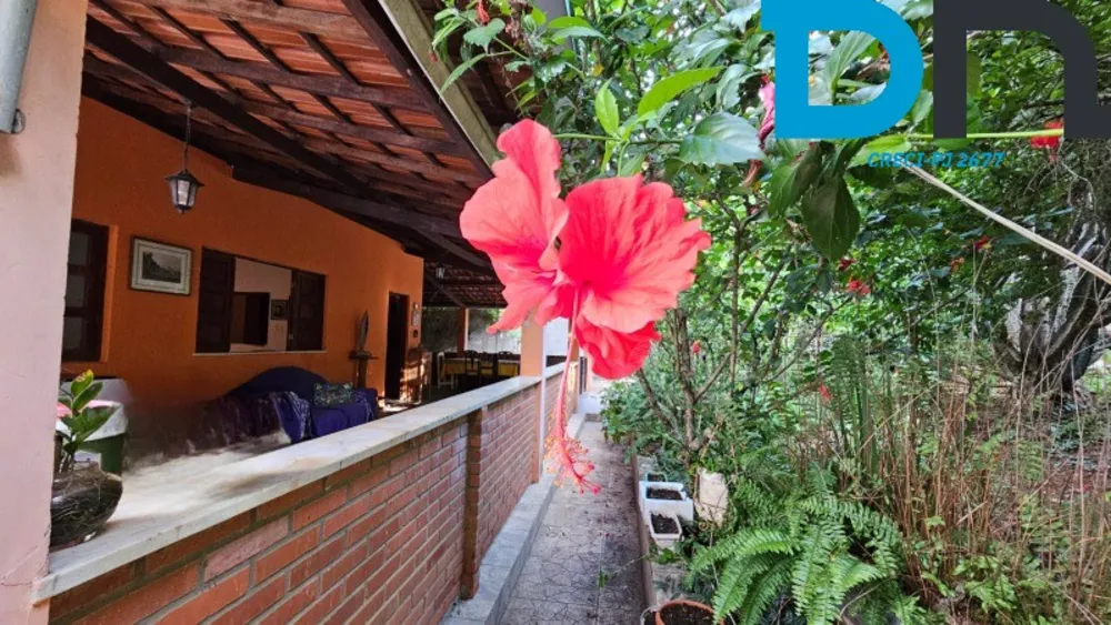 Sítio, 5 quartos, 5024 m² - Foto 1