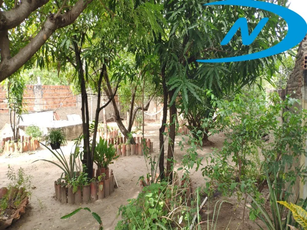 Casa, 3 quartos, 480 m² - Foto 17