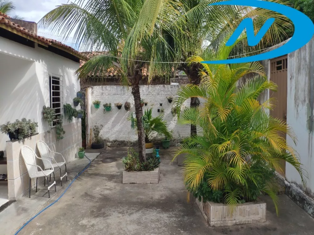 Casa, 3 quartos, 480 m² - Foto 2