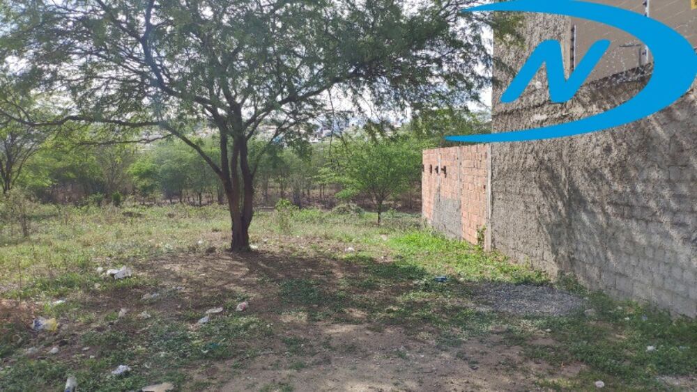 Terreno, 423 m² - Foto 3